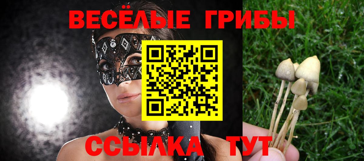 Галлюциногенные грибы Psilocybe Благодарный